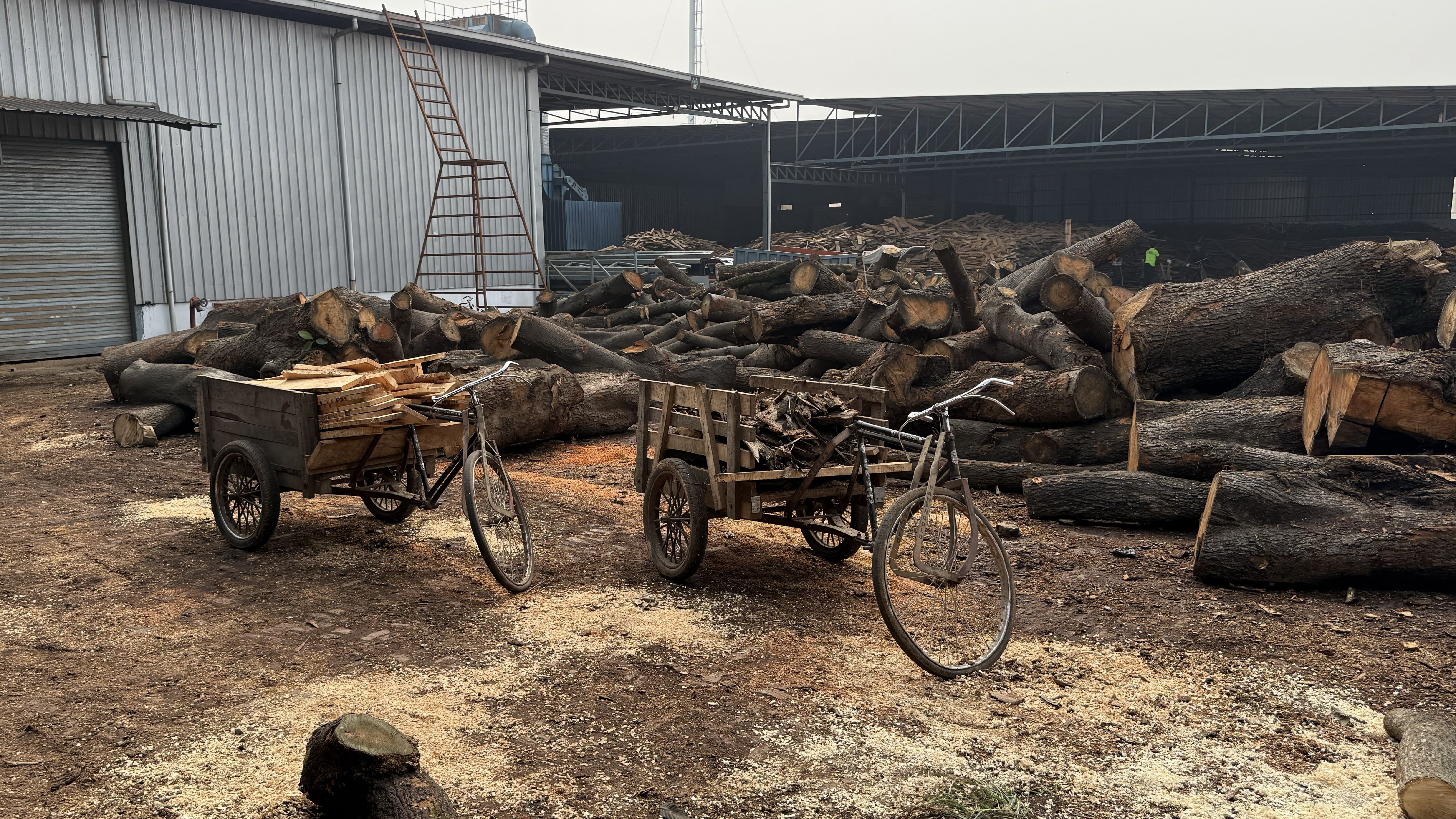 3200 x 1800 – 1.jpg