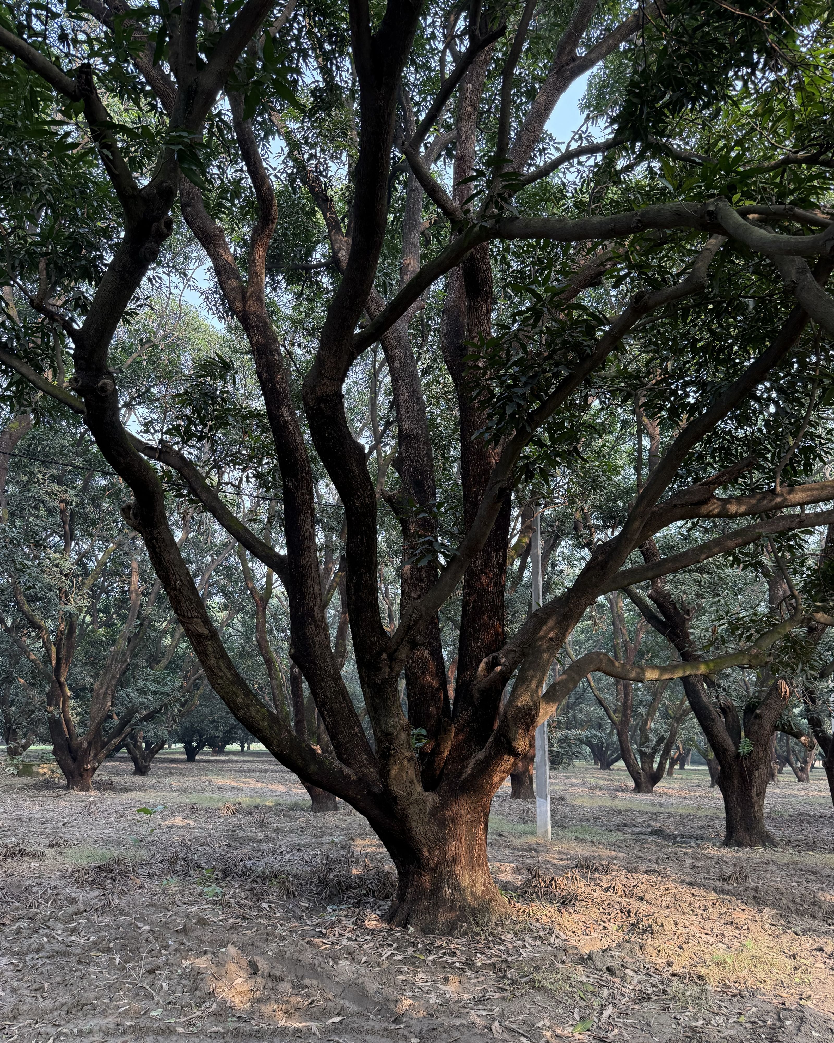 1600 x 2000 – 1.jpg