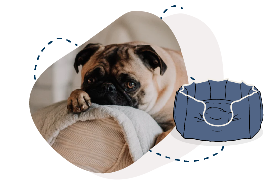 Accessories clearance for pugs