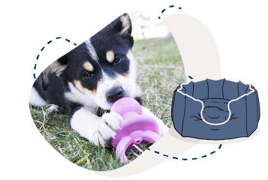 https://cld.accentuate.io/100822155377/1684339434208/Dog-Chew-Toys-01.png?v=1684339434208&options=