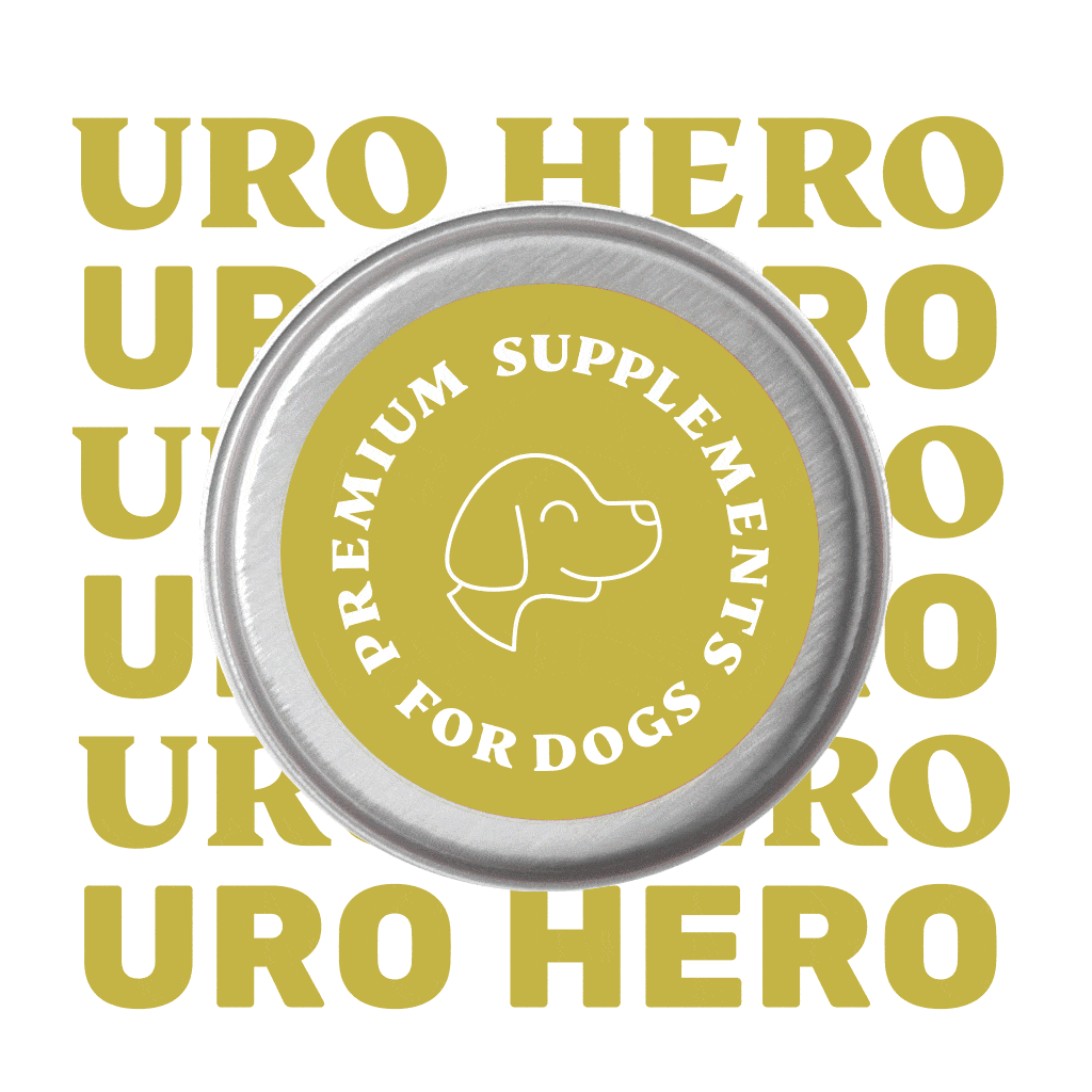 Uro Hero