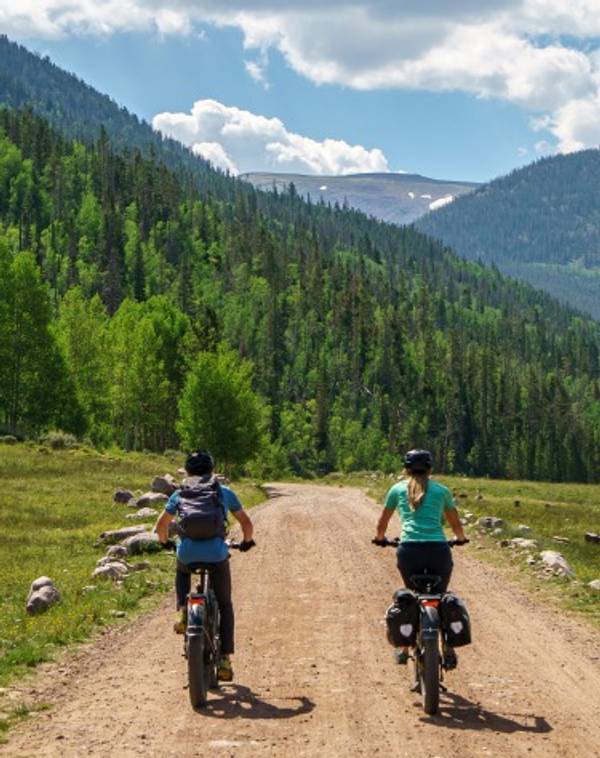 Big Wheel Bikes – Magnum Bikes Online