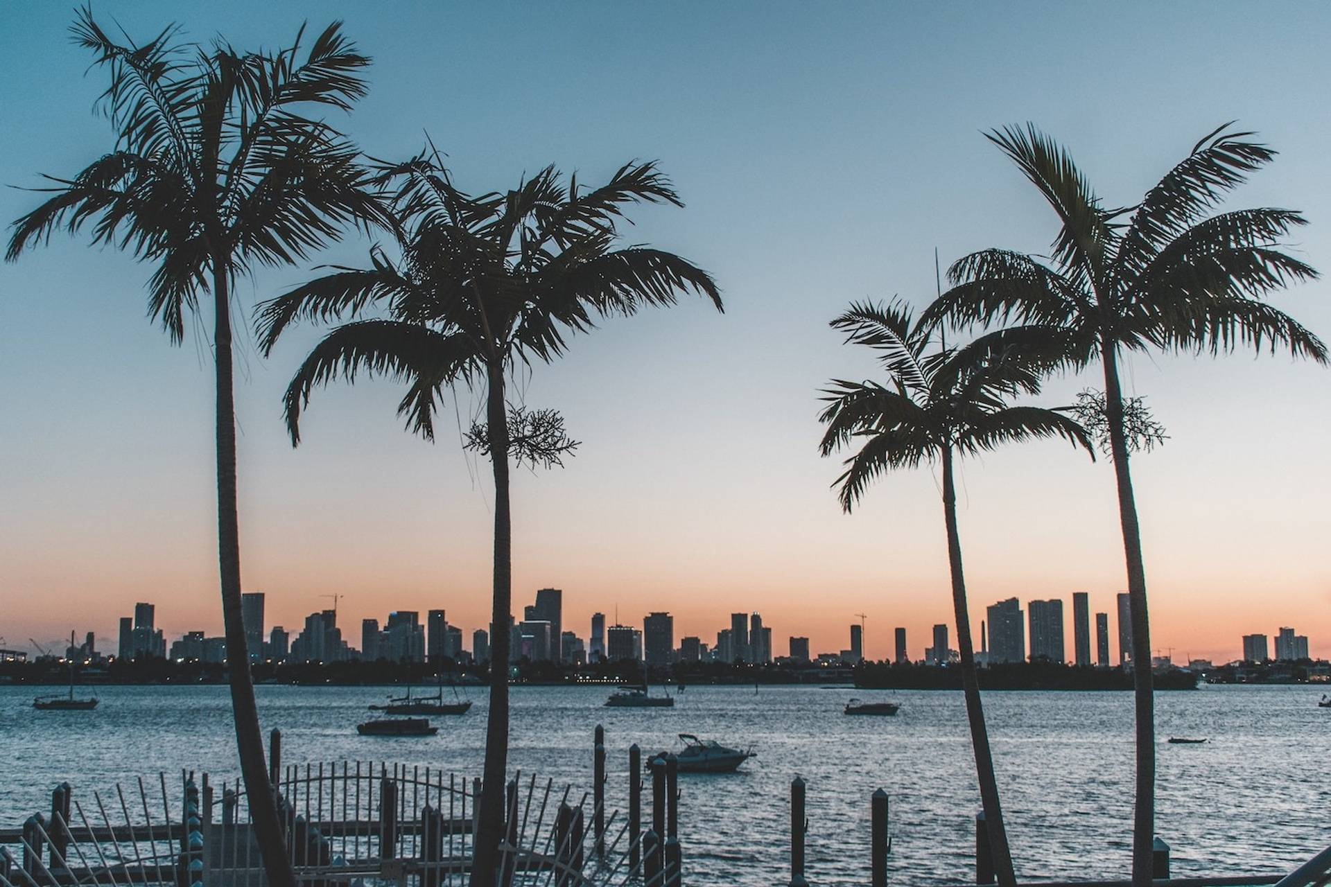 Palm trees in the foreground with water and a city skyline in the background to represent where to buy e-bikes in Florida