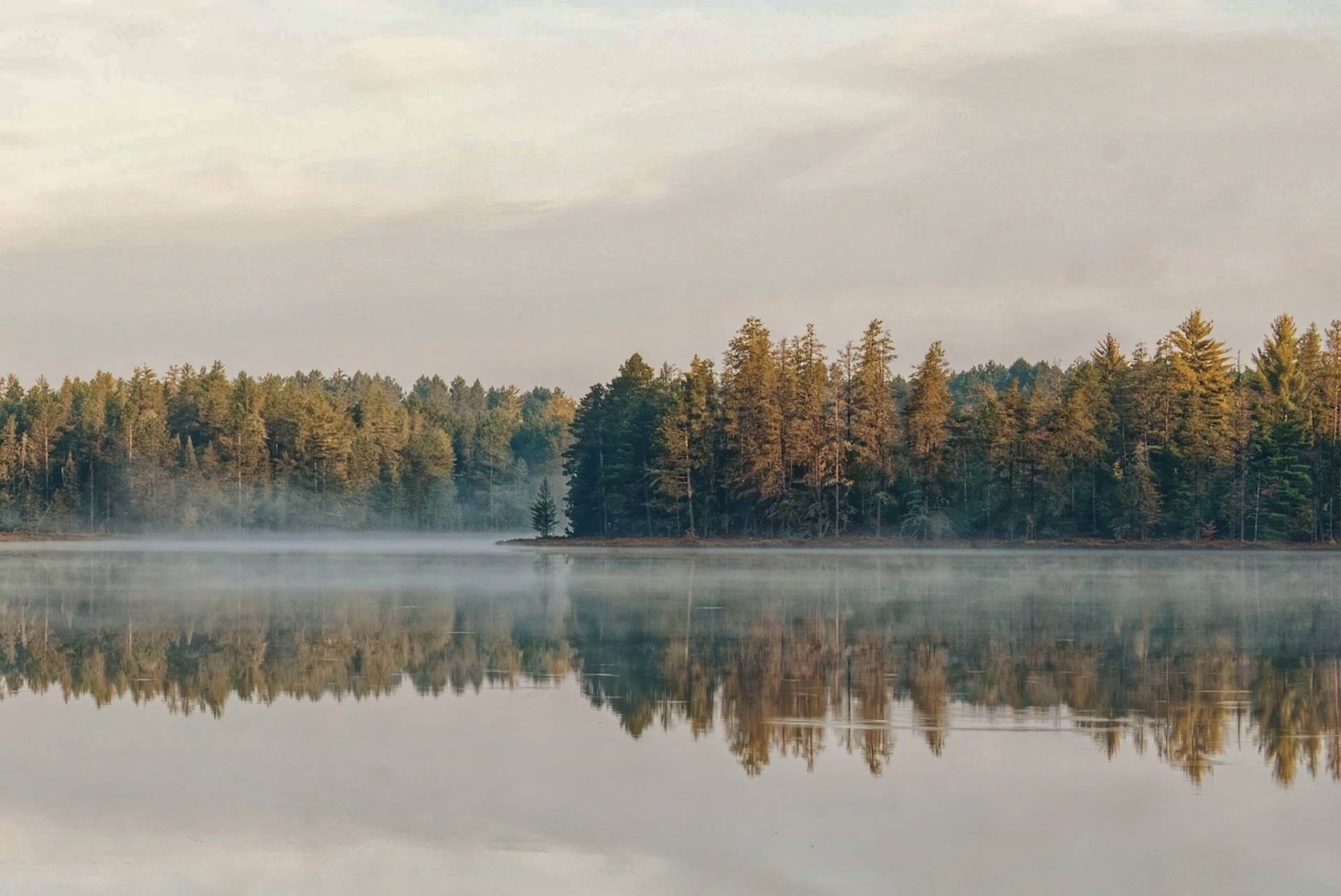 Misty reflective lake with evergreen trees to represent where to buy e-bikes in Michigan