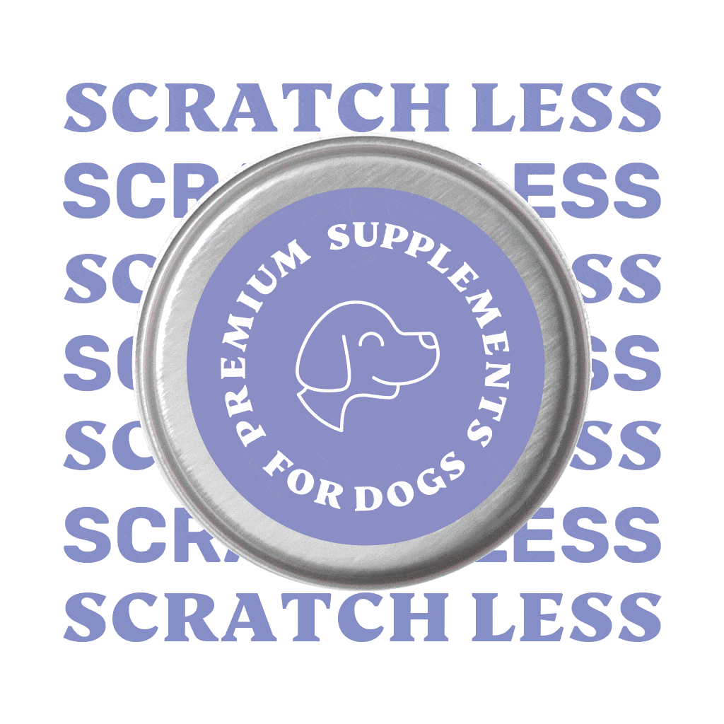 Scratch Less