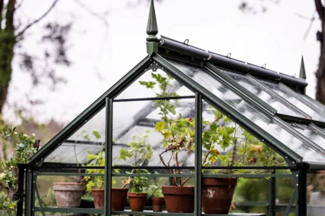 Rhino Greenhouse rear gable