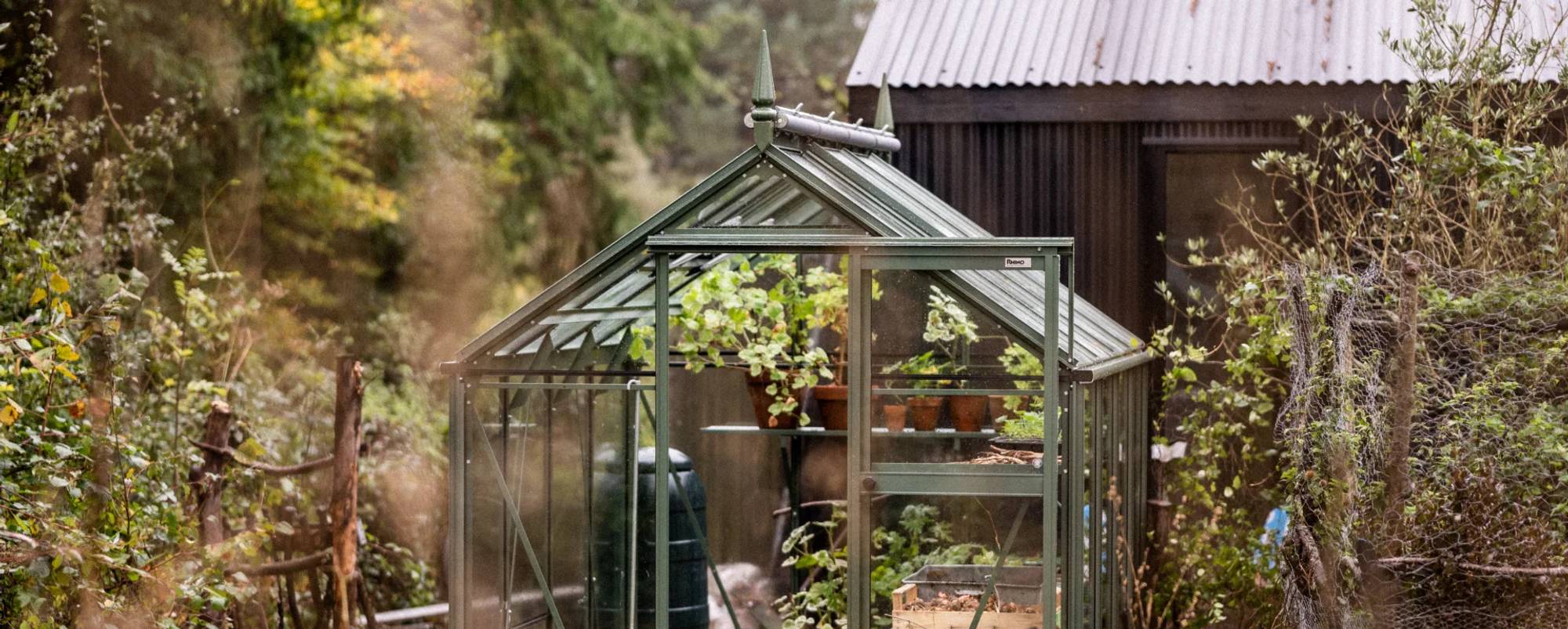 Where to Buy Rhino Greenhouses Direct