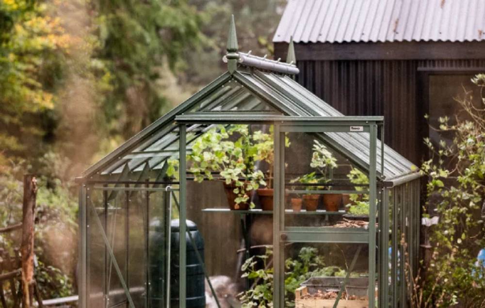 Where to Buy Rhino Greenhouses Direct