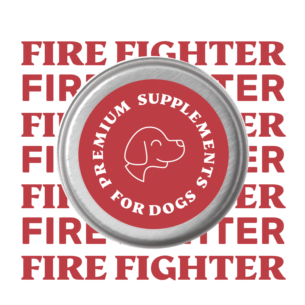 Fire Fighter