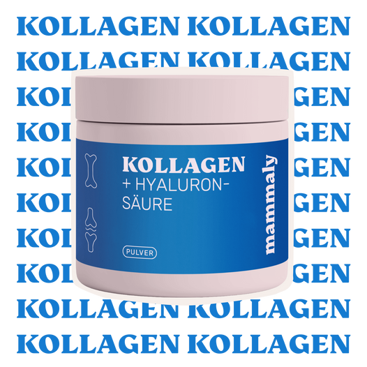 Kollagen + Hyaluronsäure