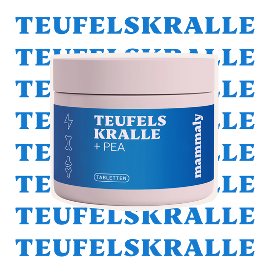 Teufelskralle + PEA