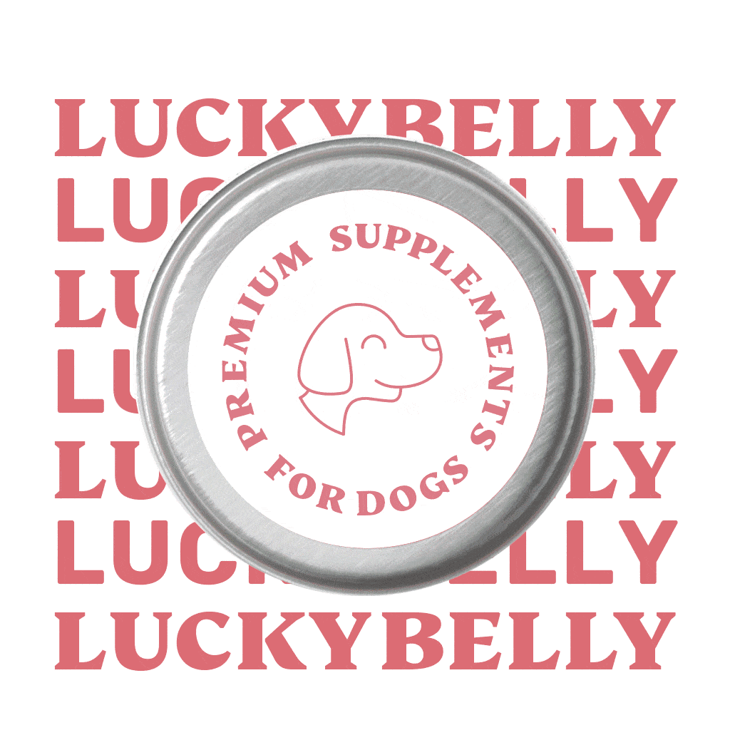 Lucky Belly Topping (Bundle Angebot)