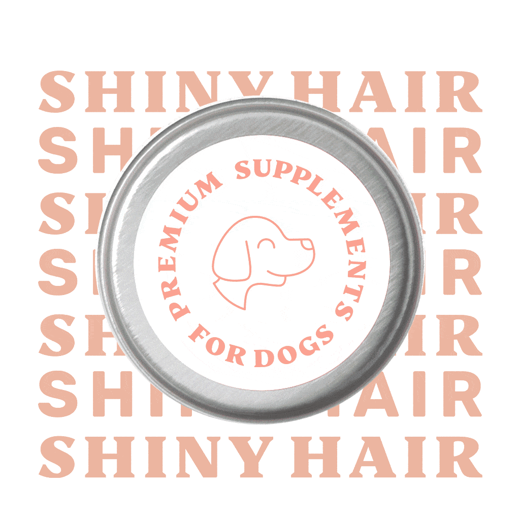 Shiny Hair Topping (Bundle Angebot)