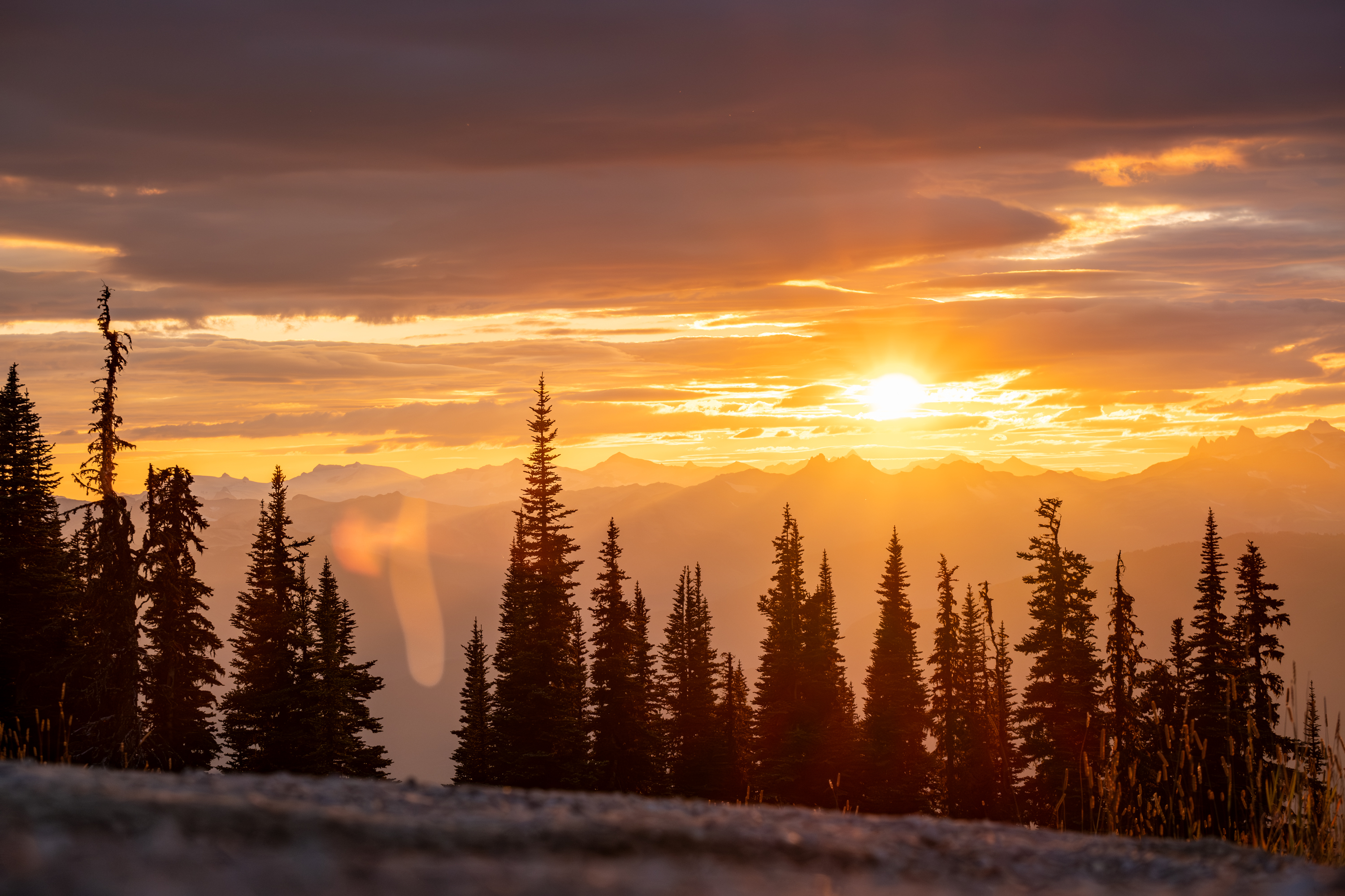 Whistler 2026 gallery