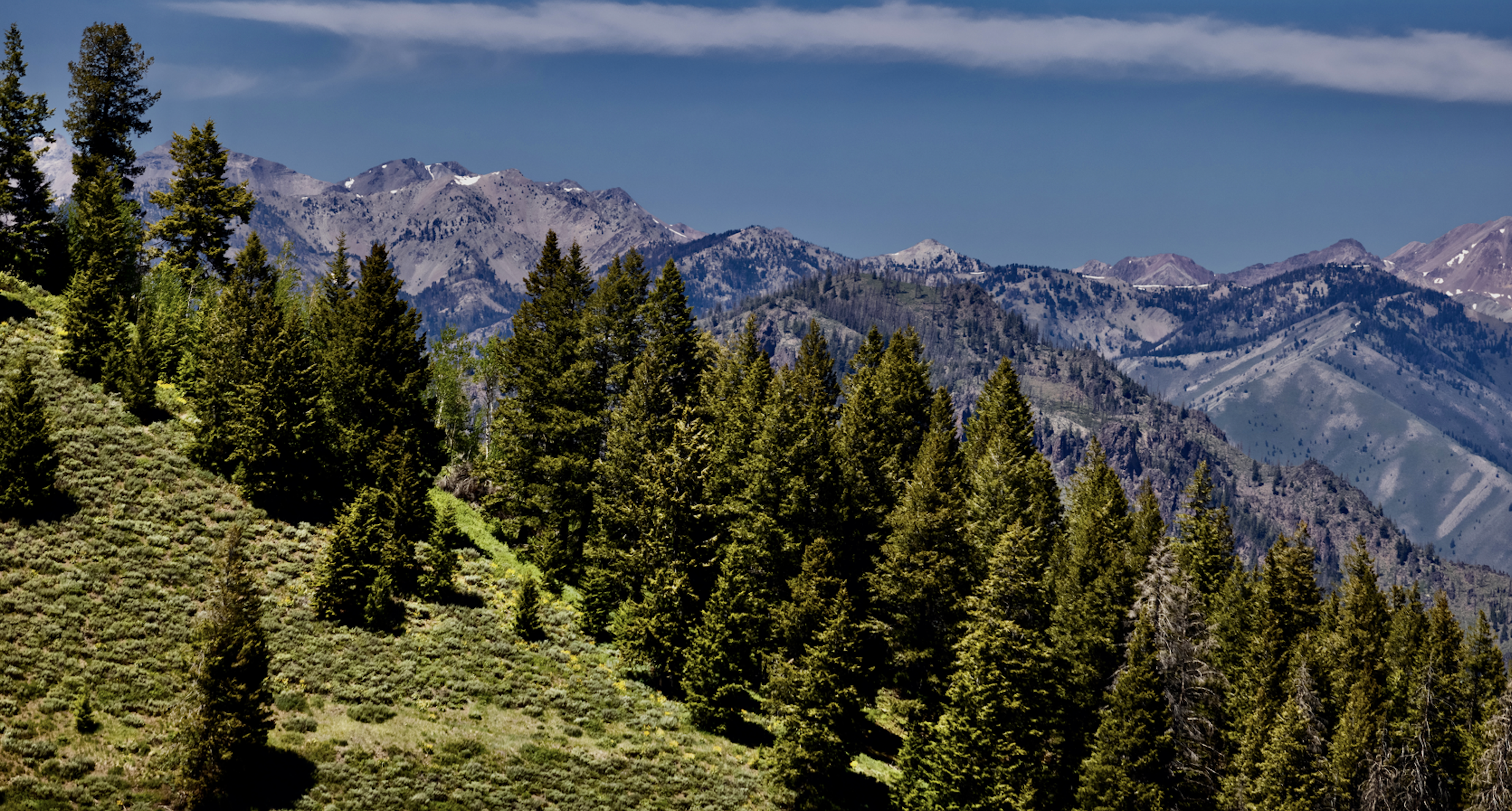 Sun Valley 2026