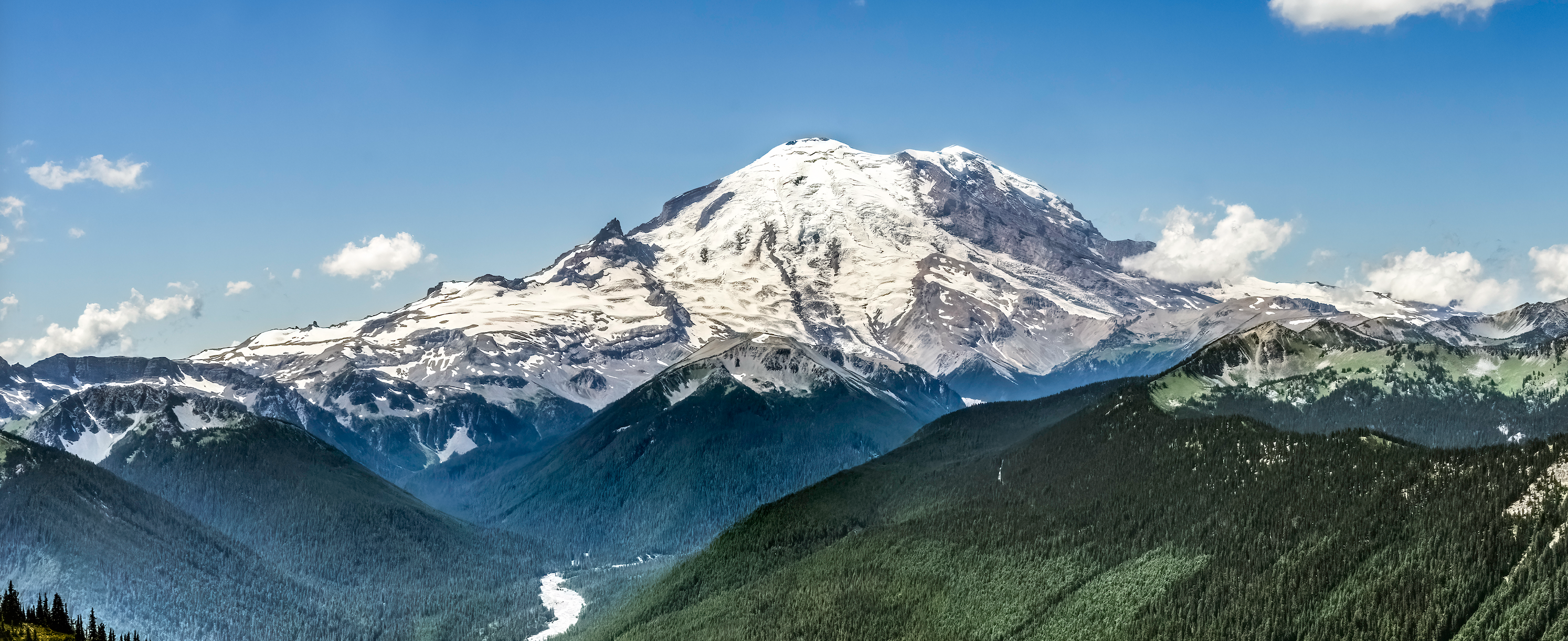 Rainier 2026 gallery