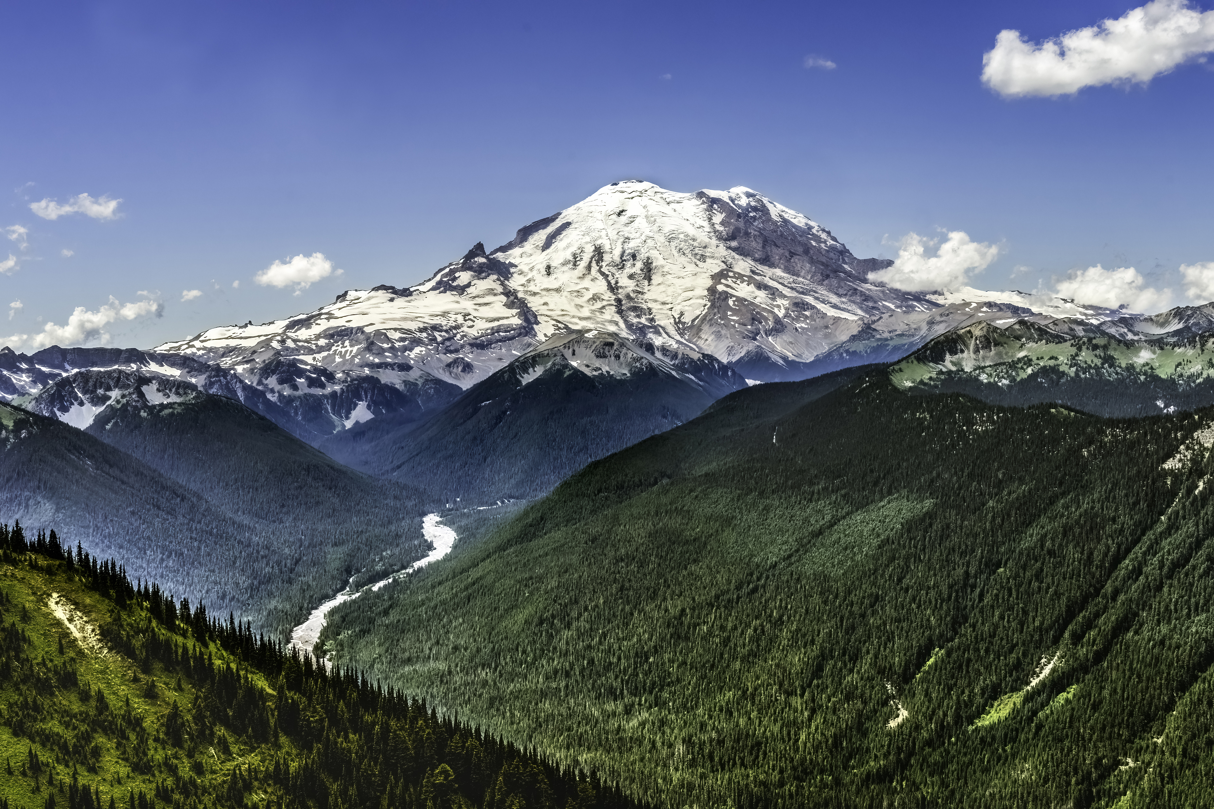 Rainier 2026 gallery