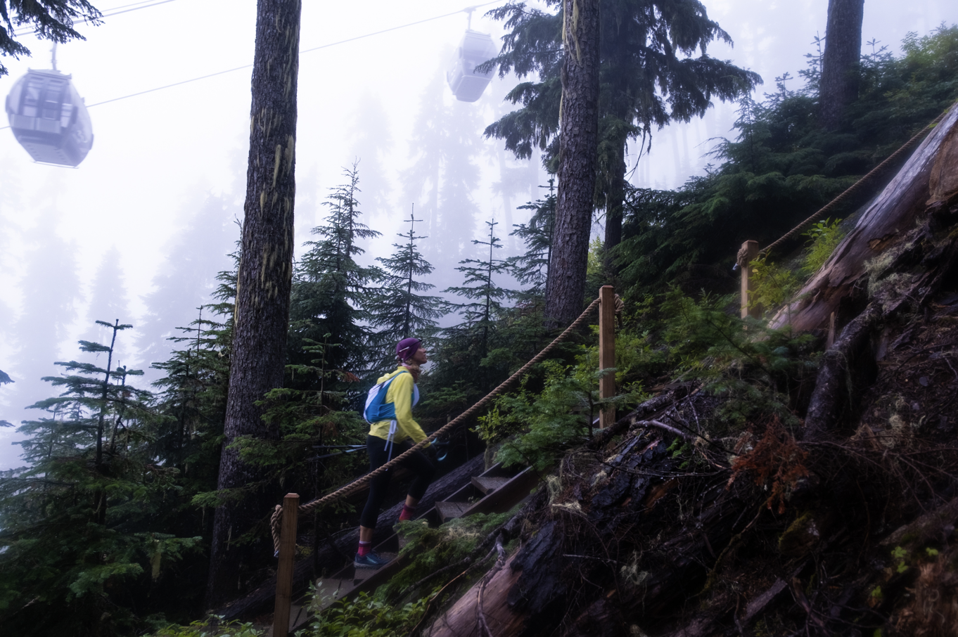 Whistler 2027 gallery 1