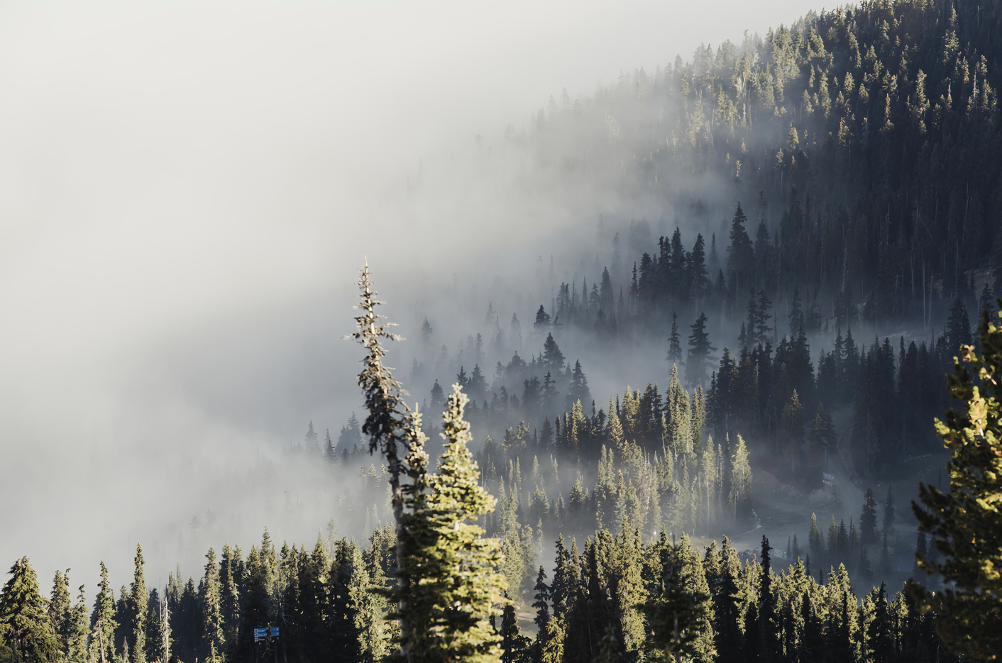 Whistler 2027 gallery 19