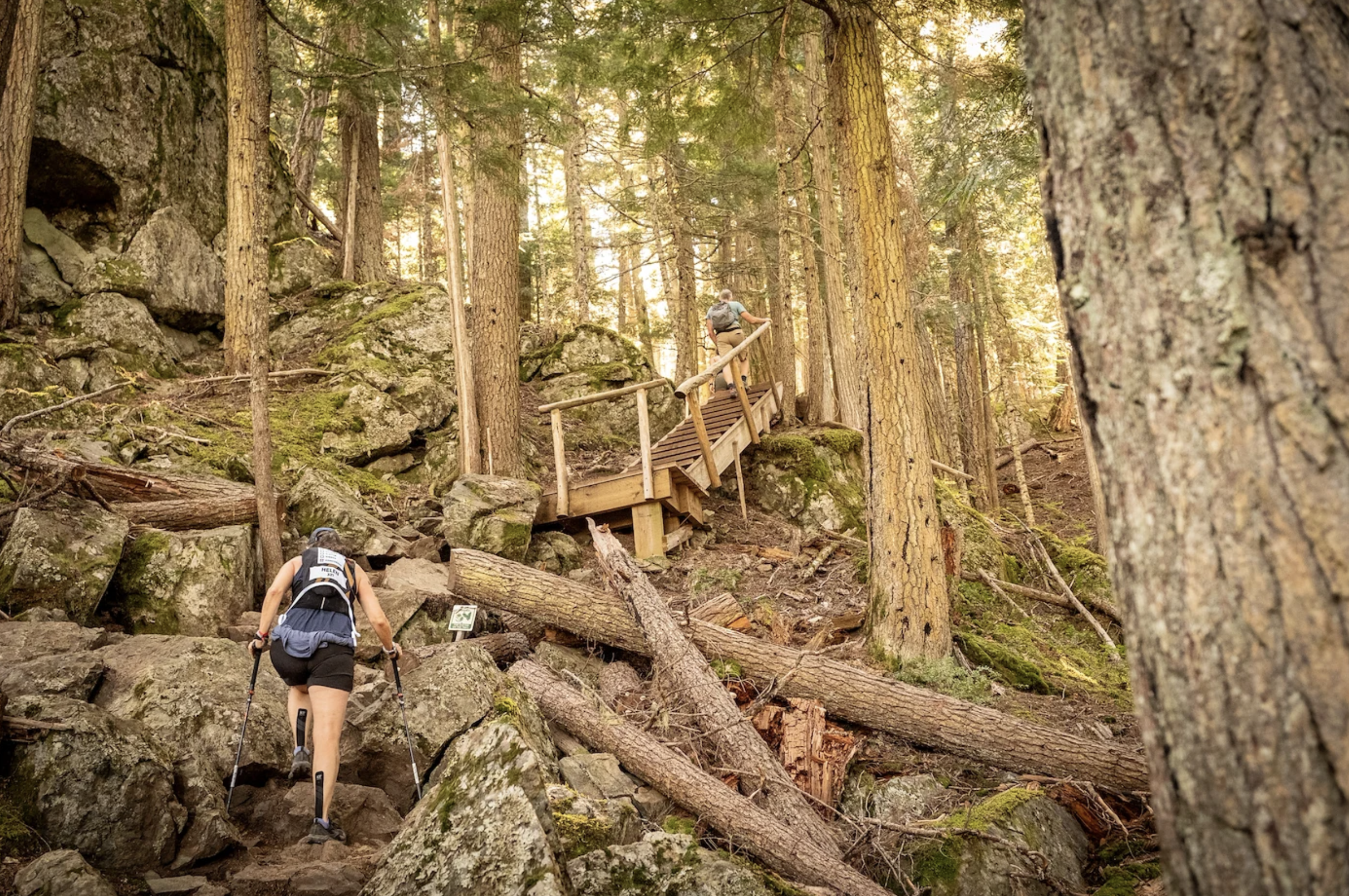 Whistler 2027 gallery 7