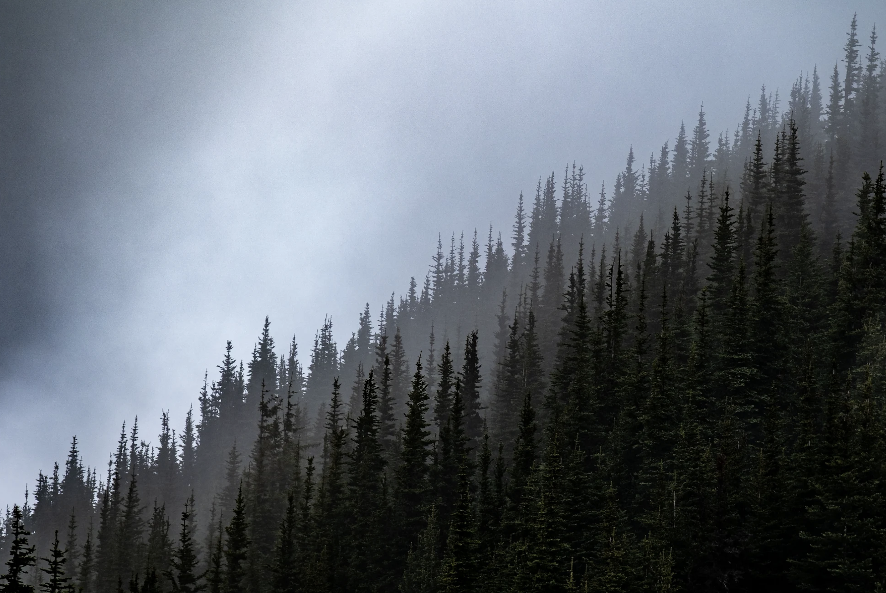 Rainier 2027 gallery 15