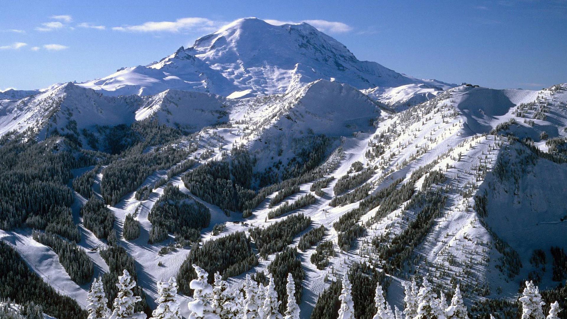 Rainier 2027 gallery 20