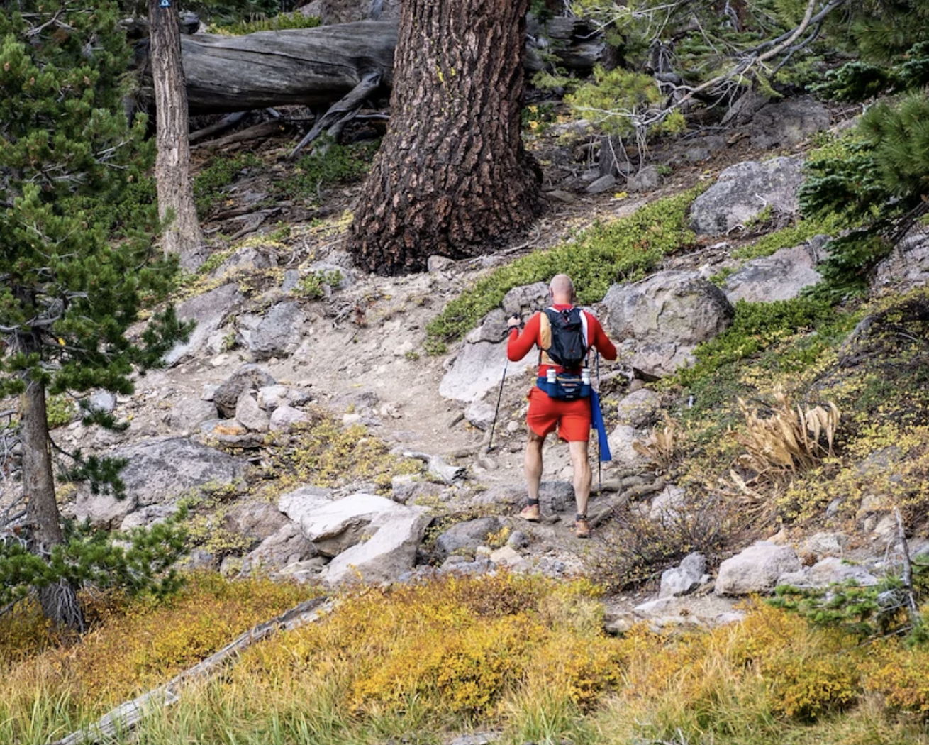 TRAIL Tahoe 2027 gallery 5
