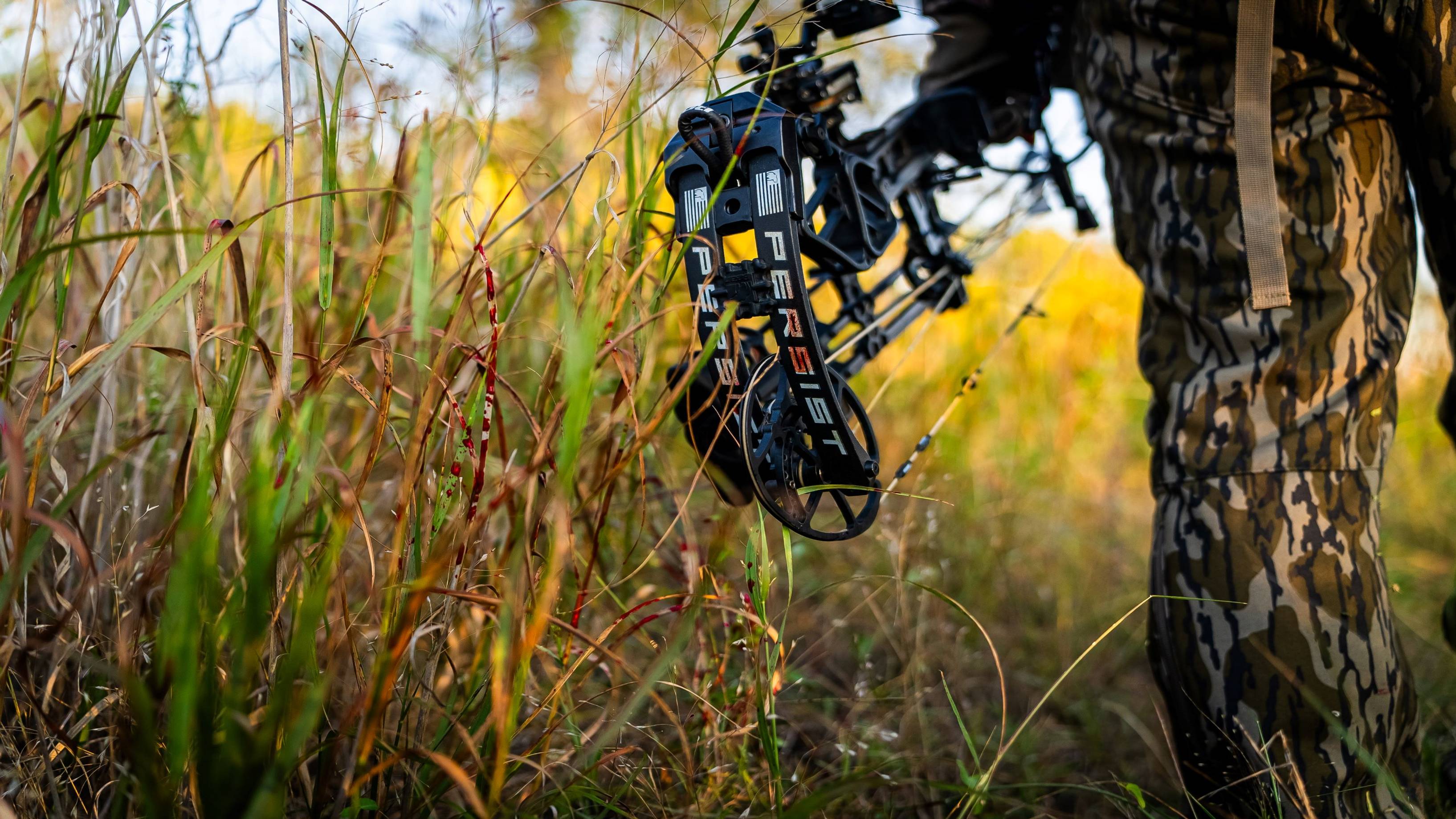 Bear Archery Persists compound bow limbs.