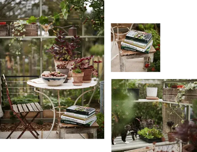 selection of summer photos