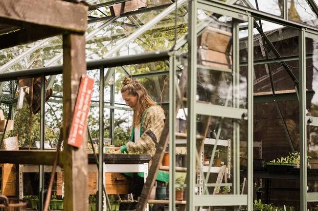 Lady in her greenhouse planting seedlings