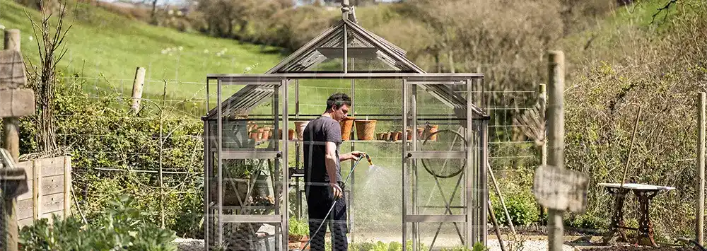 Gentleman watering his plants in his greenhouse