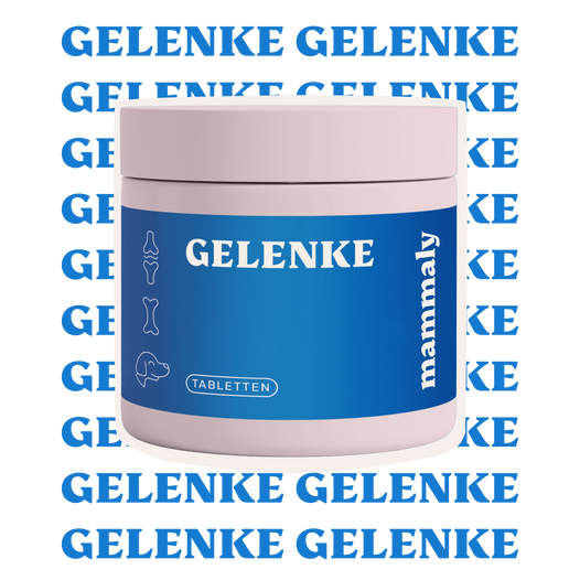 Gelenke