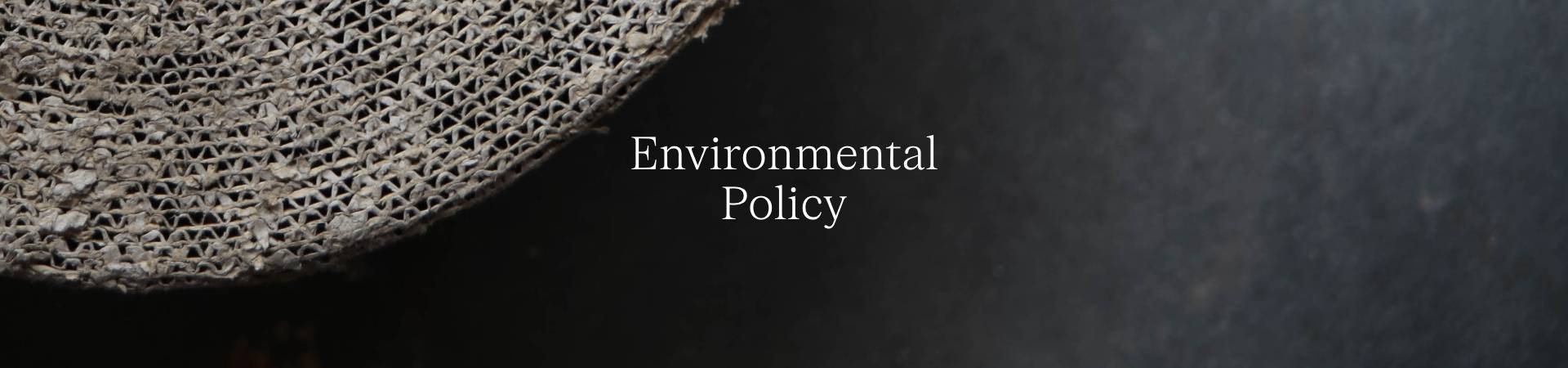 Environmental Policy.jpg