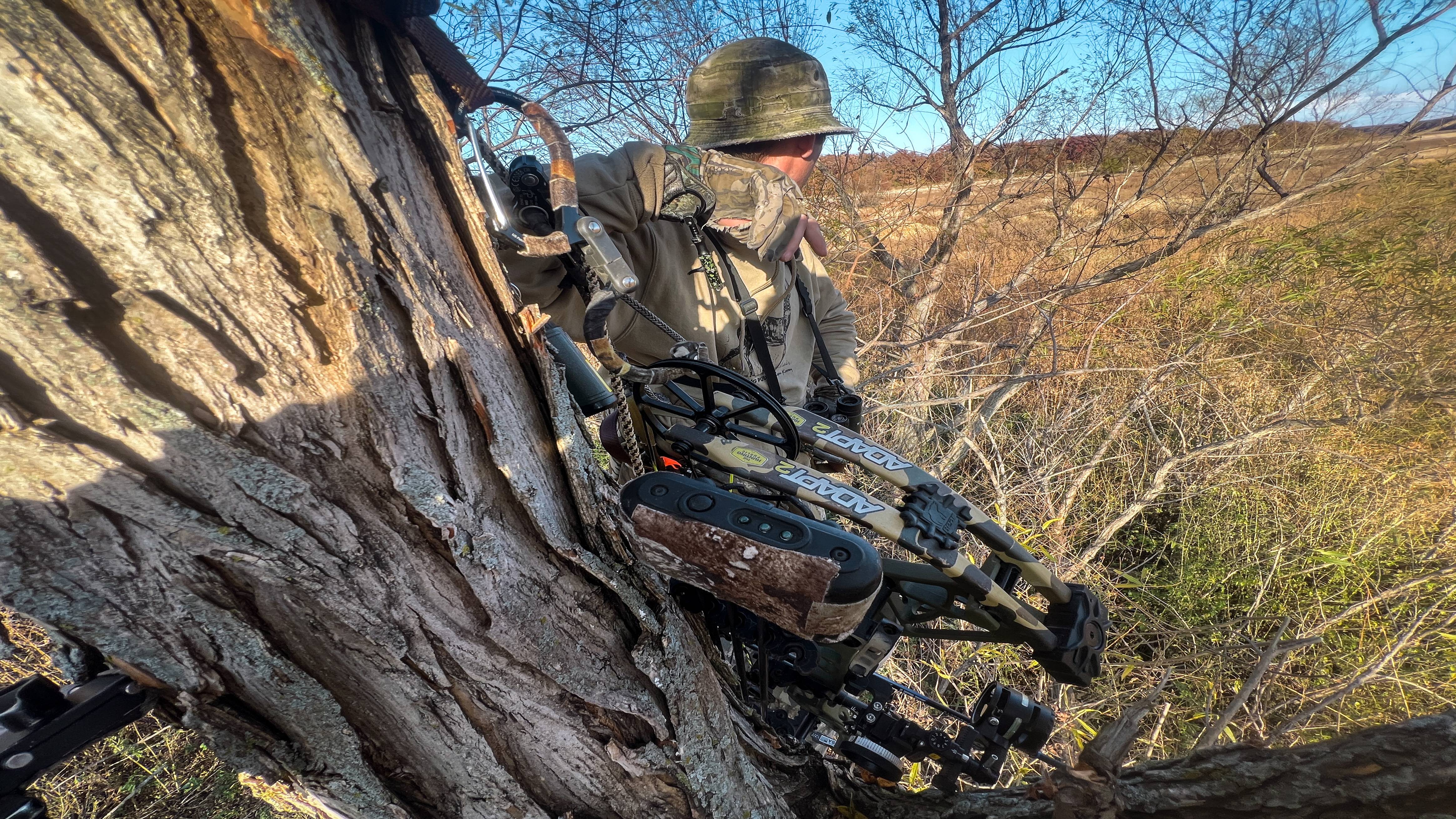 Bear Adapt 2 compound bow, bow only, created in collaboration with The Hunting Public.