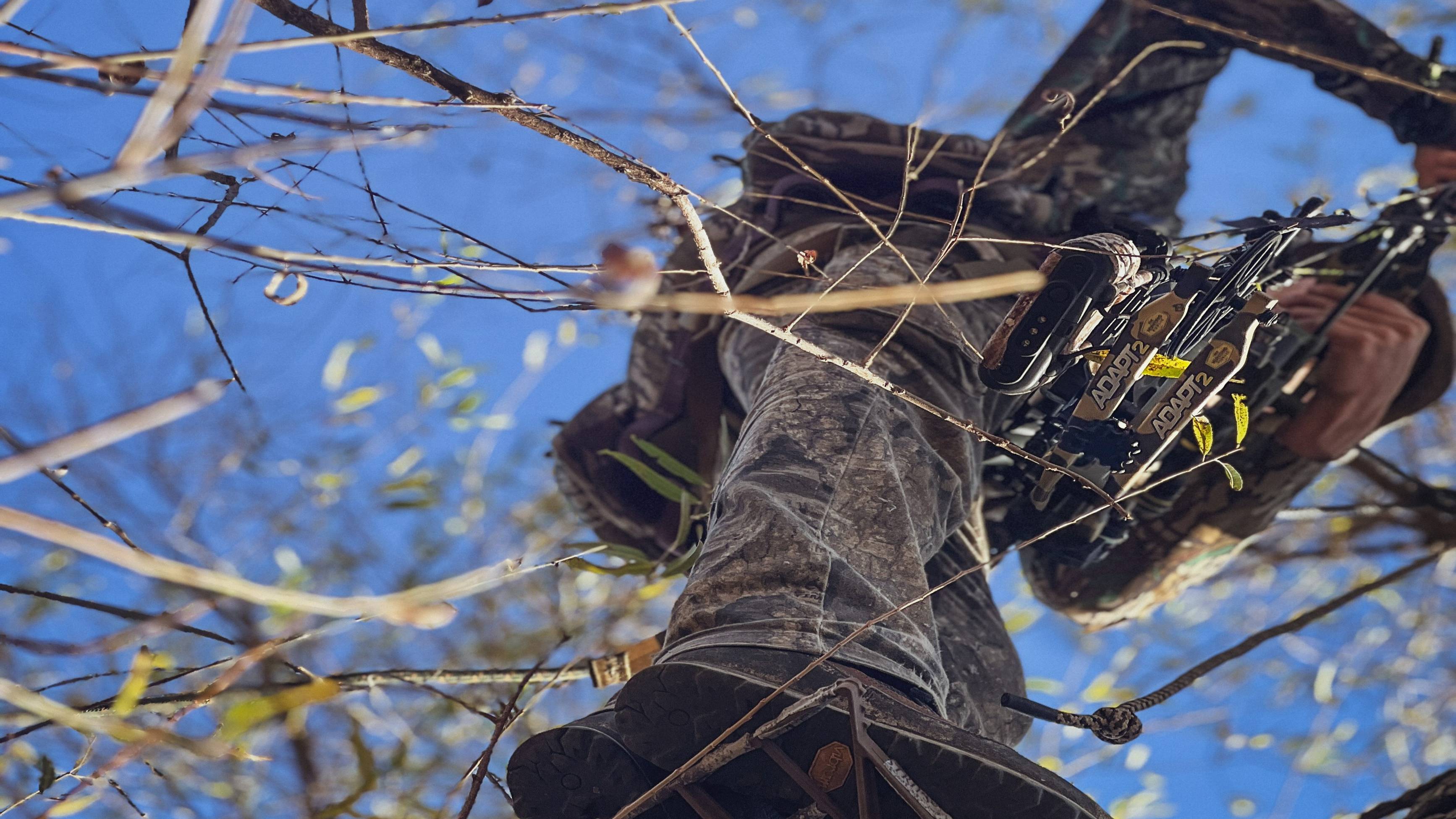 Bear Archery Adapt 2 RTH single cam compound bow created in collaboration with The Hunting Public being pulled up into a stand.