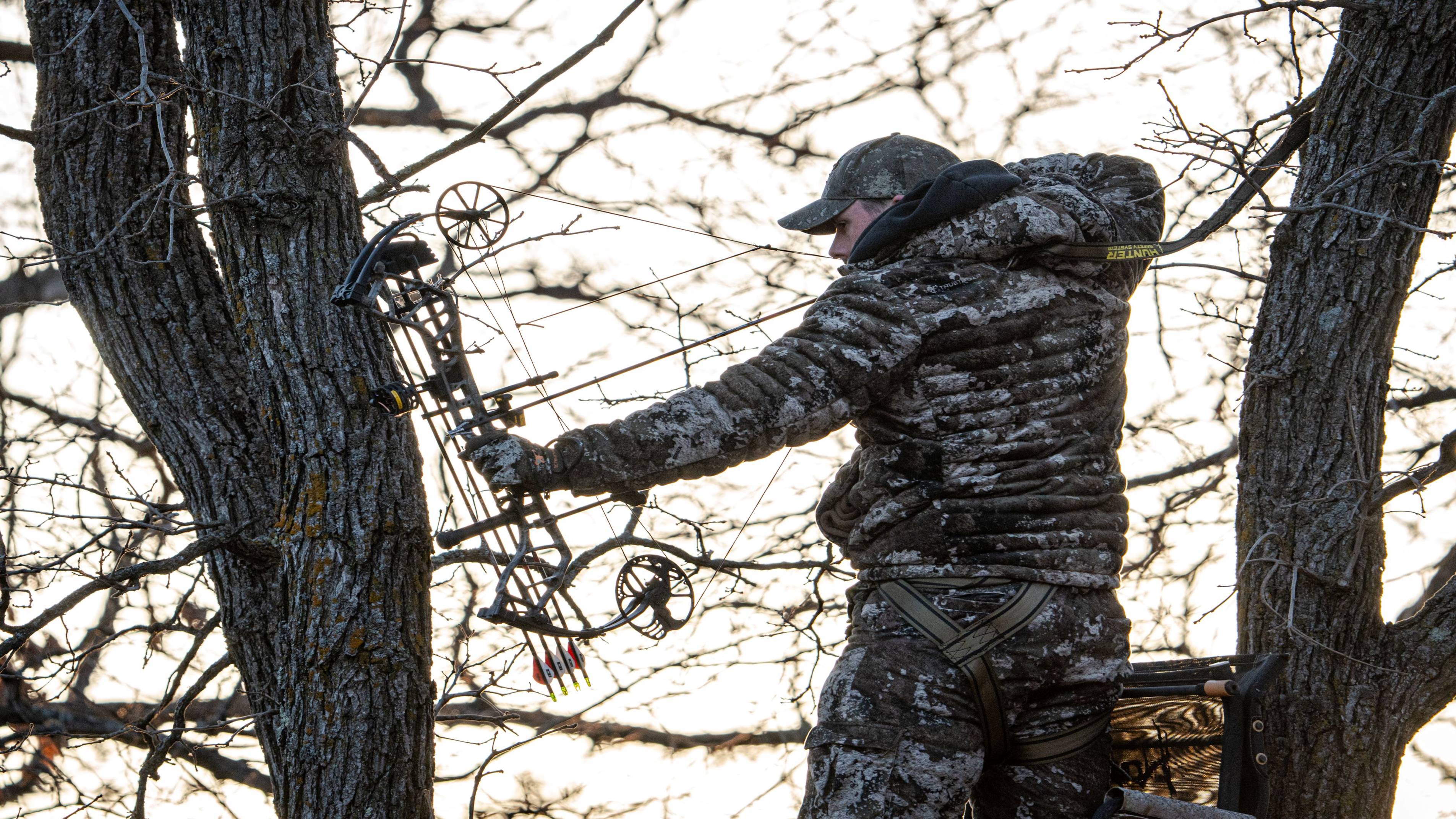Man drawing back a Bear Archery Species XT Compound Bow between two trees