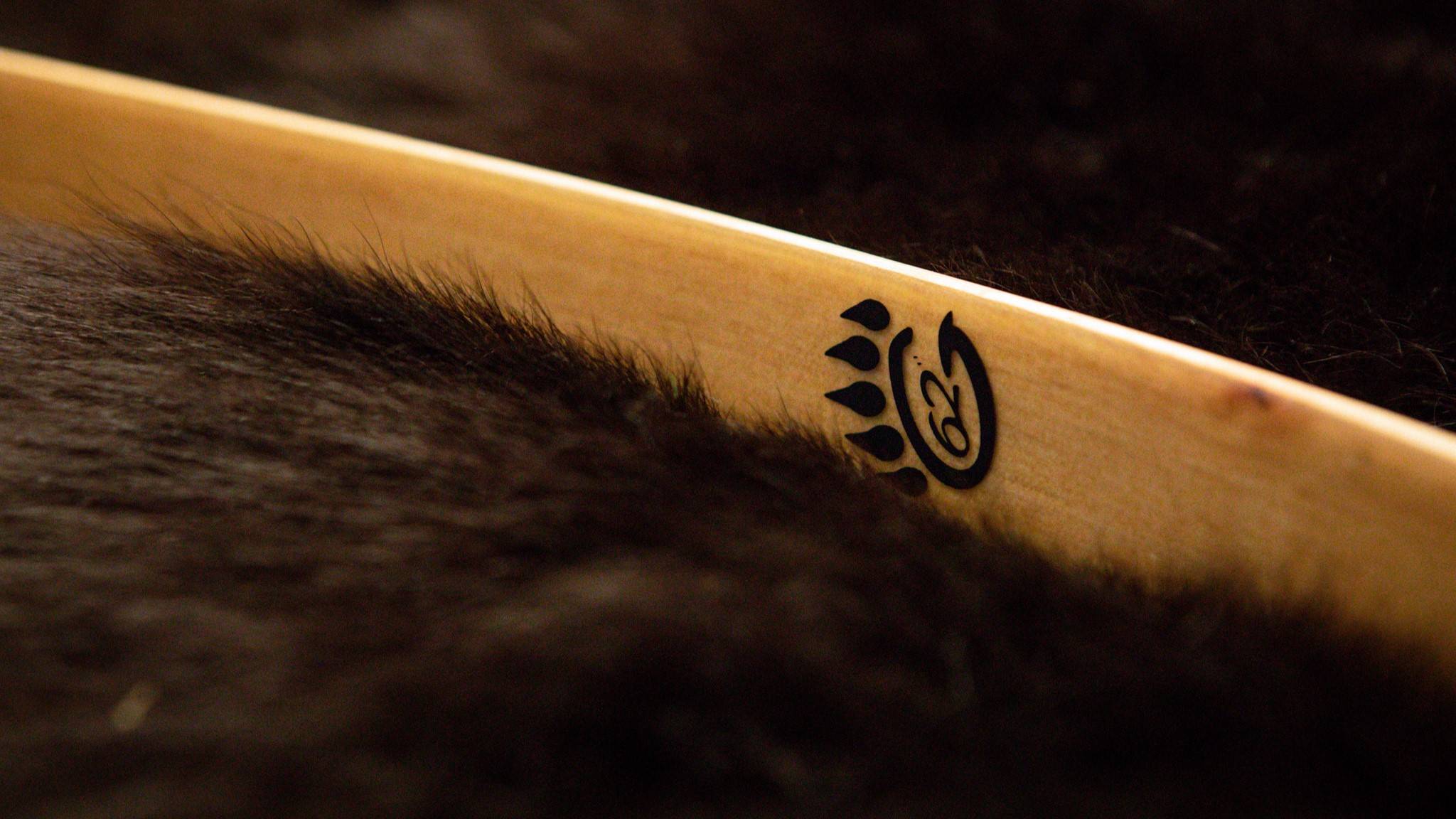 Close up of the Bear Archery G62 recurve bow limbs