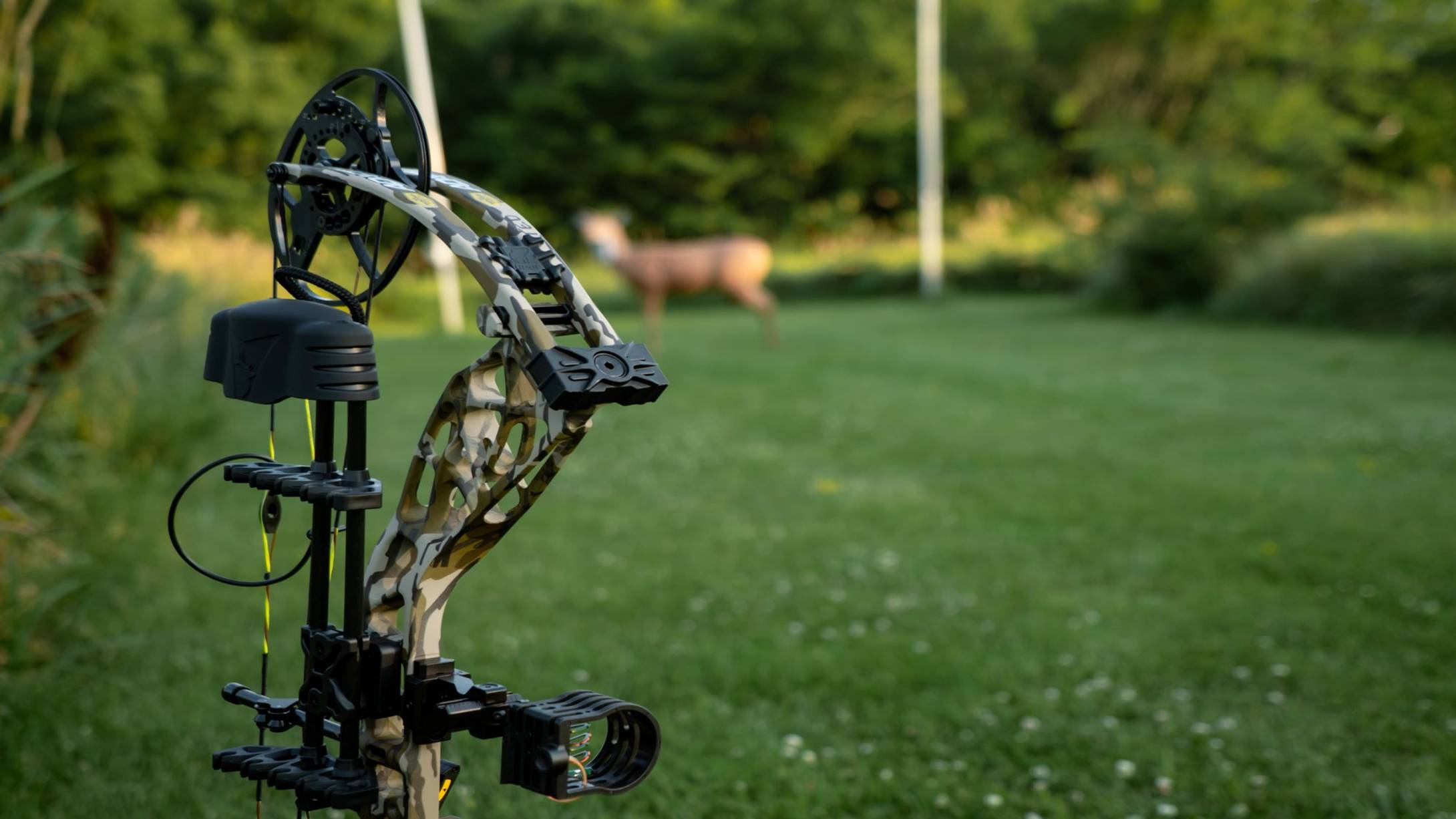Close up of the top half of the Bear Adapt 2 HP from Bear Archery