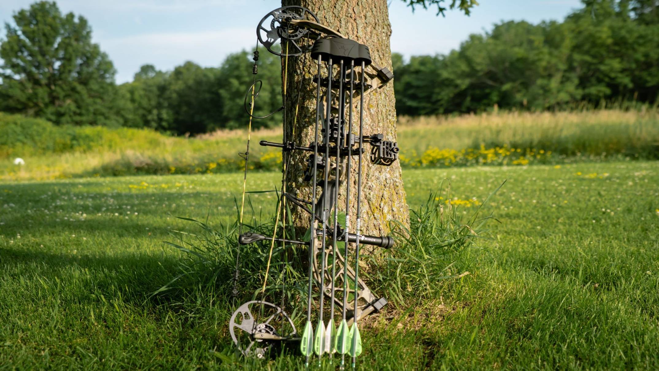 Bear Adapt 2 HP RTH compound bow leaning against a tree.
