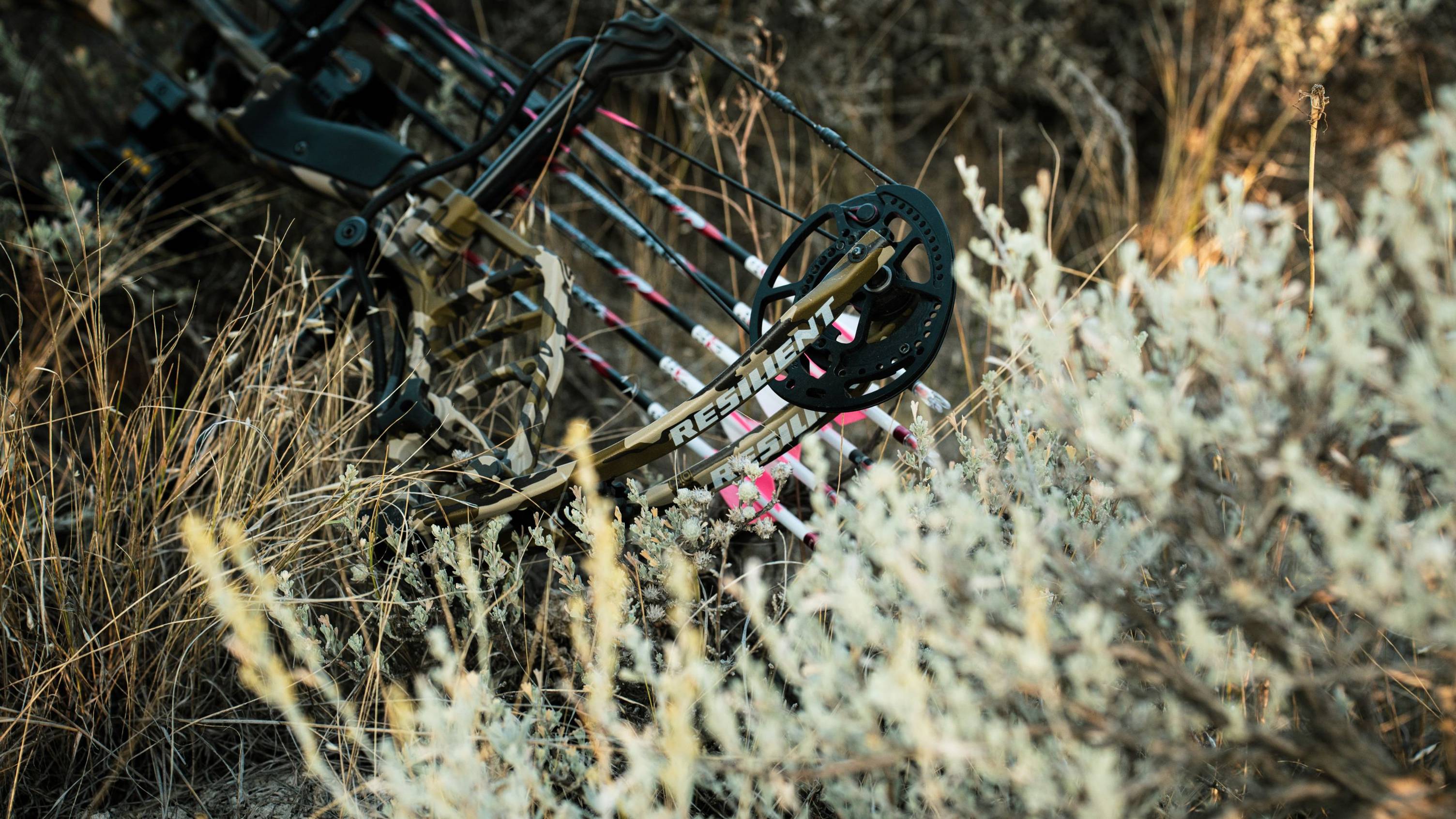 Bear Archery Resilient RTH short draw compound bow lying in a field.