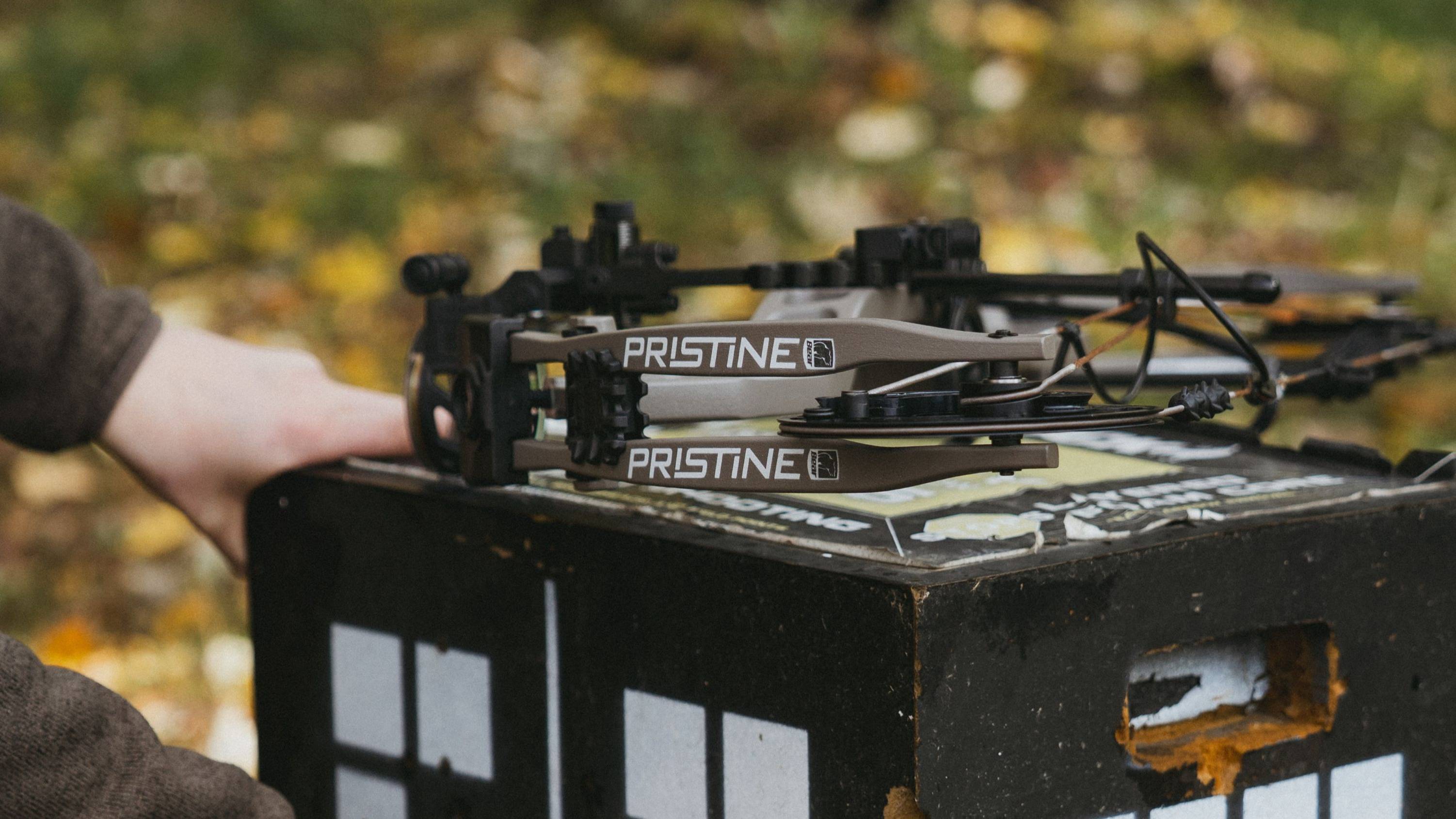 The Bear Archery Pristine RTH women's compound bow lying on a target.