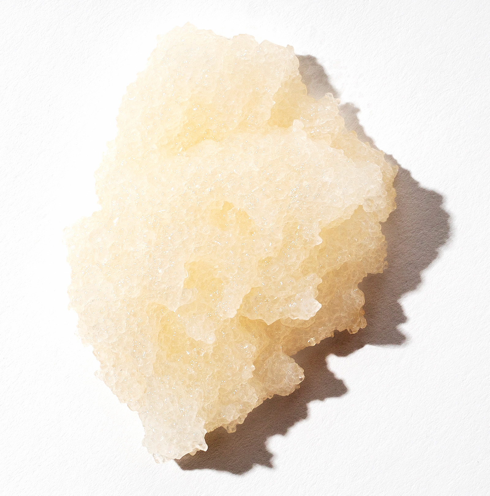 Scalp and Body Scrub Travel