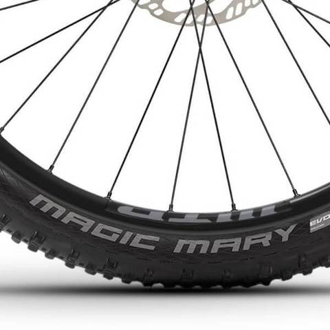 Haibike AllMtn CF 9 2025 Schwalbe Magic Mary Tyres