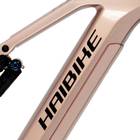 Haibike AllMtn CF 11 TRN/IQ 2026 Pinion 800Wh Battery