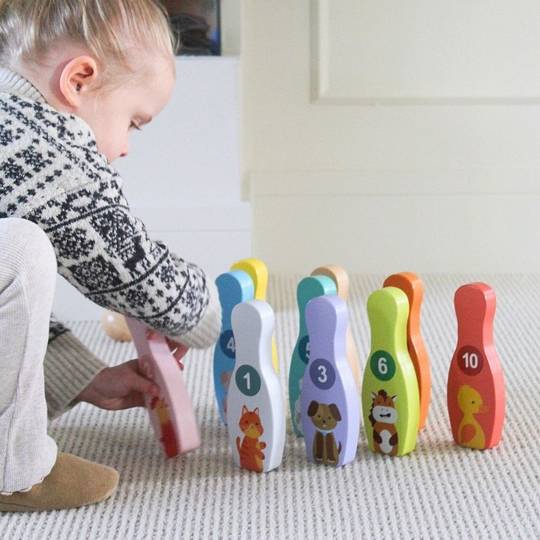 Wooden Animal Skittles