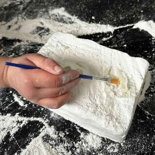 Triceratops Fossil Dig Kit