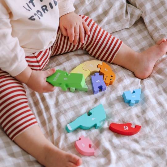 Counting Dinosaur - Number Puzzle