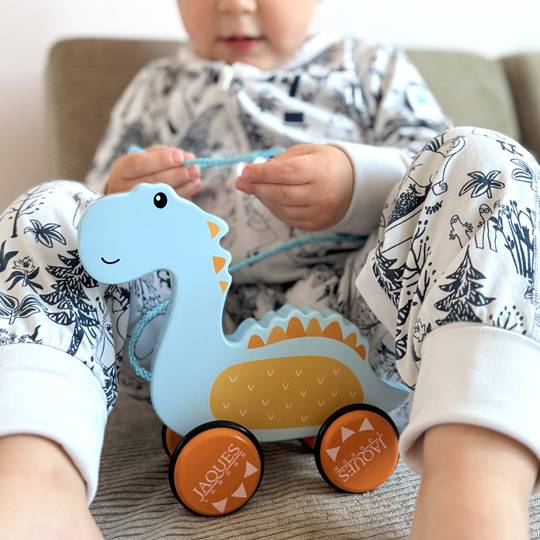 Dylan The Dinosaur Pull Along Toy