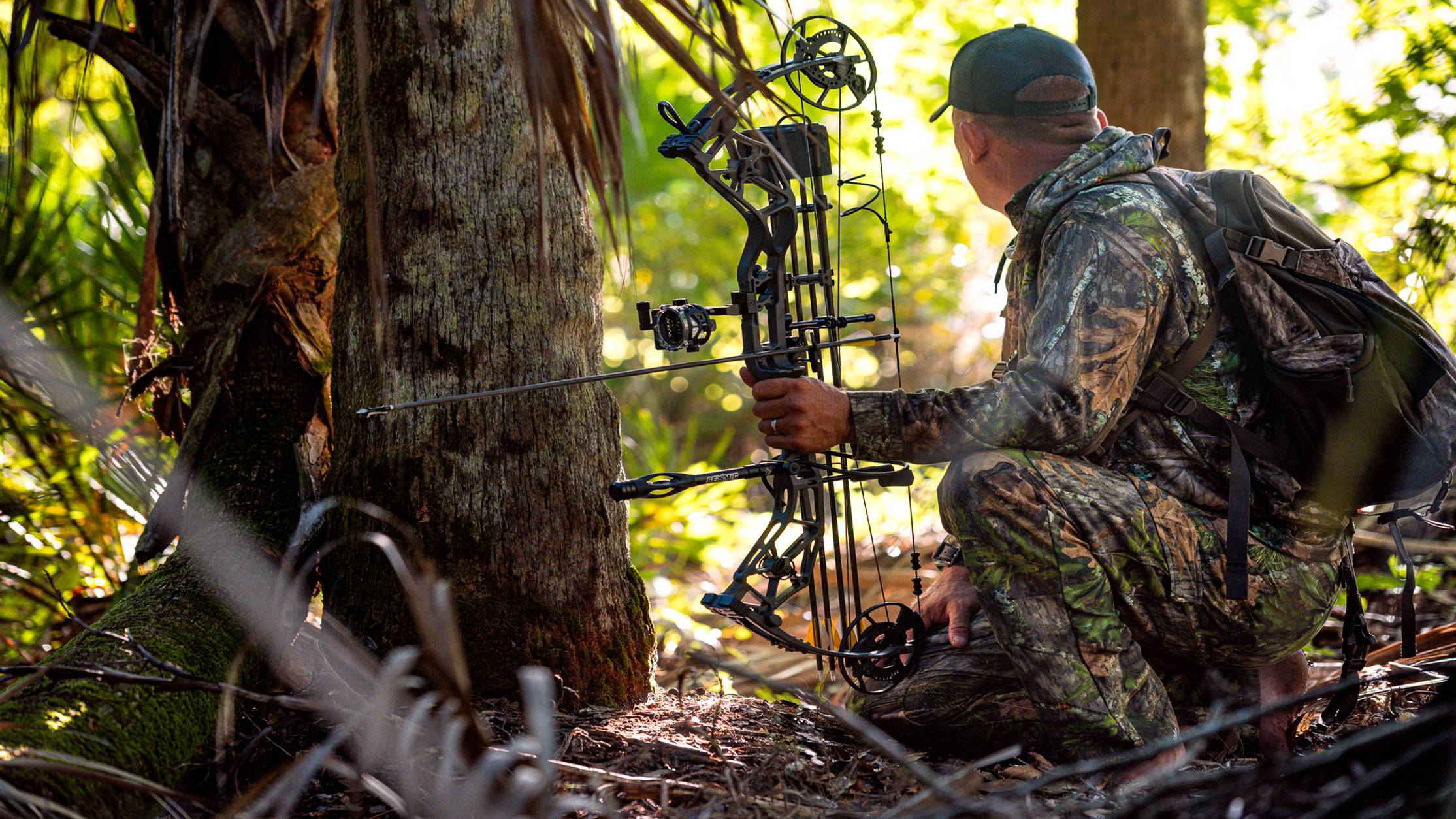 Deer Meat for Dinner Compound Bow
