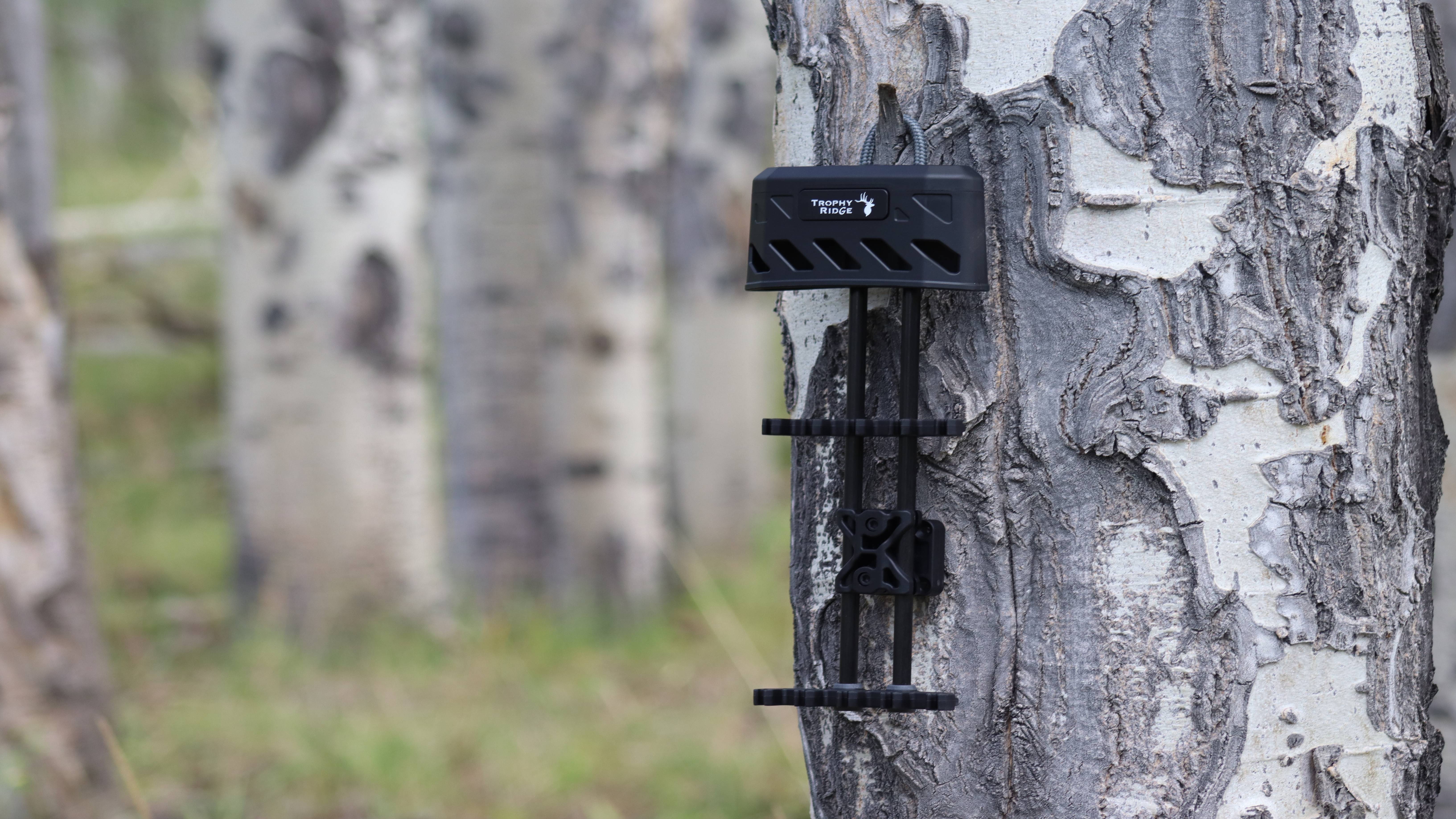 Dusk quiver from Trophy Ridge hanging on a tree